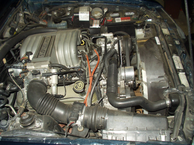 1992 Ford Mustang LX Engine Bay